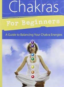 Chakras for Beginners by David Pond