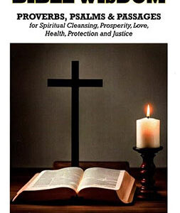 Magical Bible Wisdom by Robert Laremy