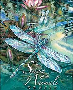 Spirit of the Animals oracle by Jody Bergsma