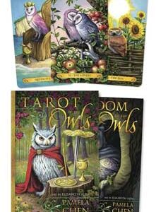 Tarot of the Owls (deck and book) by Alba & Chen
