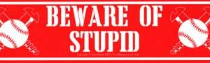 Beware of Stupid 11 1/2" x 3"