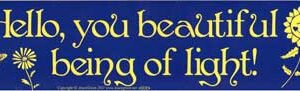 Hello, You Beautiful Being of Light bumper sticker