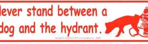 Never Stand Between a Dog and the Hydrant bumper sticker
