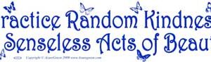 Practice Random Kindness & Senseless Acts of Beauty bumper sticker