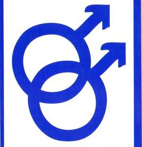 Male/Male bumper sticker