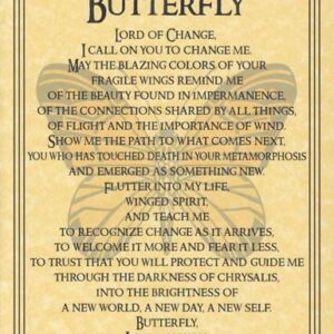 Butterfly Prayer poster