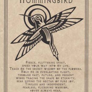 Hummingbird Prayer poster
