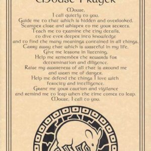 Mouse Prayer poster