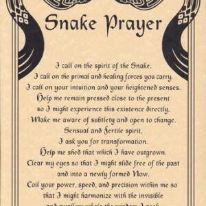 Snake Prayer poster