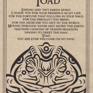 Toad Blessing poster