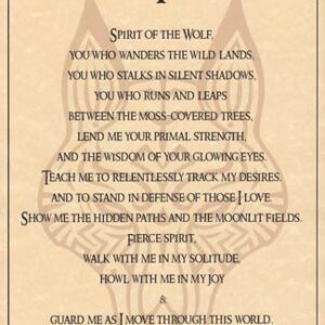 Wolf Prayer poster