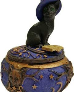 Magical Cat Box
