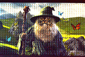 17 5/8" x 19 1/2" Catdolf doormat