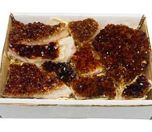 ~2kg Flat of Citrine Points