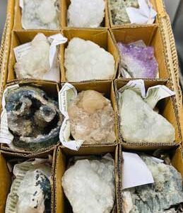 Flat of Zeolite(12/flat)