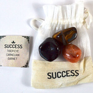 Success Stones kit