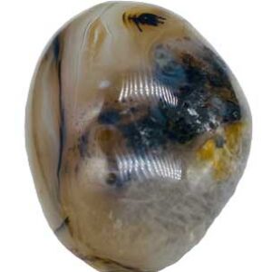 Agate, Dendritic palm stone