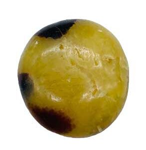Jasper,Septarian palm stone