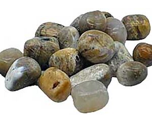 1 lb Agate, Dendritic tumbled