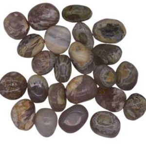 1 lb Opalized Petrified Wood tumbled stones