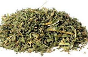 Catnip cut 1oz (Nepeta cataria)