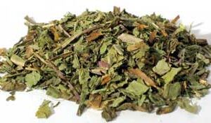 Dandelion Leaf cut 1oz (Taraxacum officinale)