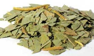 Eucalyptus cut 2oz (Eucalyptus globulus)