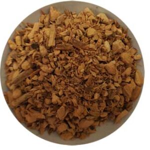 Galangal Root cut "Chewing John" 1oz (Alpinia species)