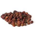 Hawthorn Berries whole 1oz (Crataegus laevigata)