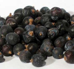 Juniper Berries Whole 2oz (Juniperus communis)