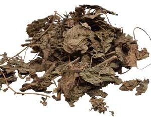 Patchouli Leaf wh 1oz