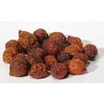 Rose Hips whole 1oz (Rosa canina)