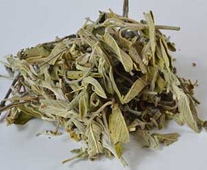 Sage Leaf cut 2oz (Salvia officinalis)