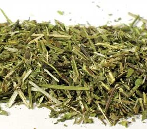 Scullcap cut 1oz (Scutellaria lateriflora)
