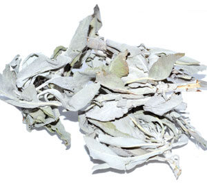 White Sage 1oz (Salvia Apiana)