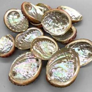 (pack of 100) 2" - 3" Abalone Shell incense burner