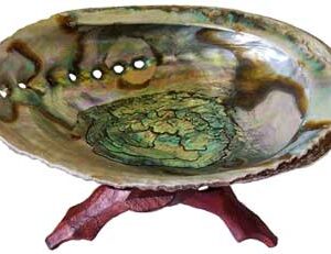 5"- 6" Abalone Shell incense burner with stand