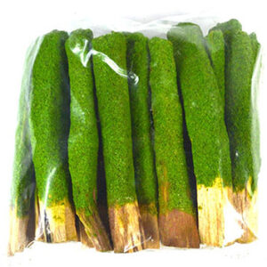 (set of 25) Apple Cinnamon Palo Santo dip sticks