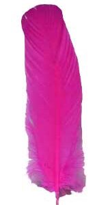 (set of 10) Pink feather 12"