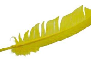 (set of 10) Yellow feather 12"