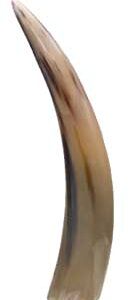 12" Horn End