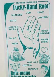 Lucky Hand Root