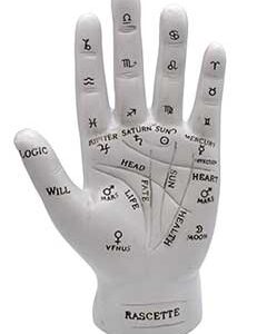 7" Palmistry Hand