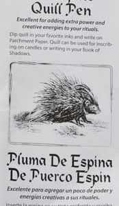 Porcupine Quill Pen