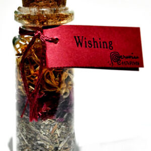 Wishing pocket spellbottle