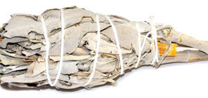 4" Sage & Palo Santo smudge (not bagged)