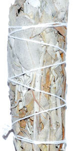 California White Sage smudge stick 3"
