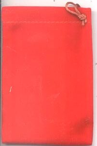 Red Velveteen Bag
