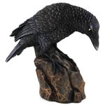 Downward Looking Raven 5 1/2"