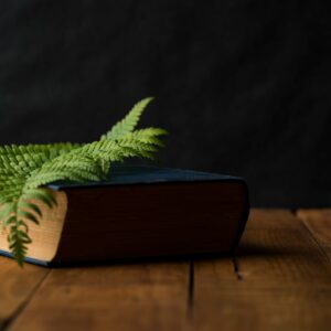 Books About Oil
